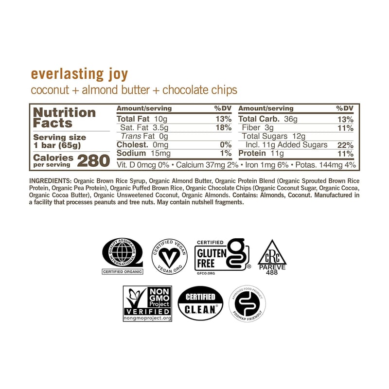 Organic Vegan Protein Bars – Coconut Almond Chocolate, 12 Pack