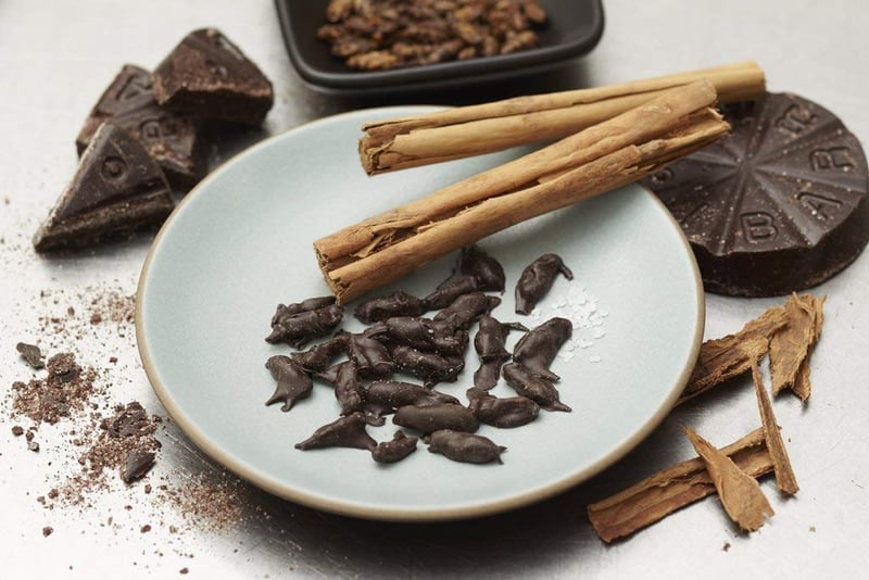 Edible Cricket Snacks, Dark Chocolate Coated, Eco-Friendly