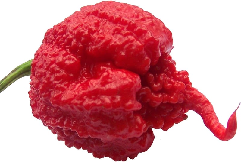 Carolina Reaper Pepper Seeds - World's Hottest