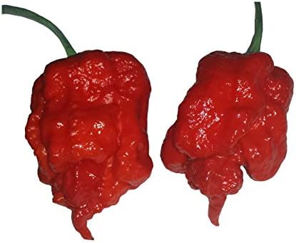 Carolina Reaper Pepper Seeds - Extra Hot Variety