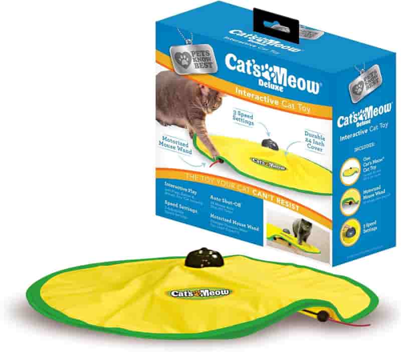 Motorized Wand Cat Toy with Timer & Adjustable Speeds