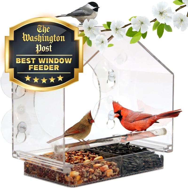 Outdoor Transparent Bird Feeder with Strong Suction