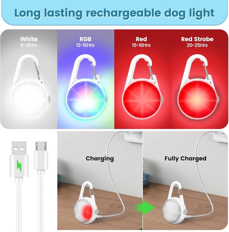 Night Walking Dog Collar Lights - Rechargeable LED RGB Clips