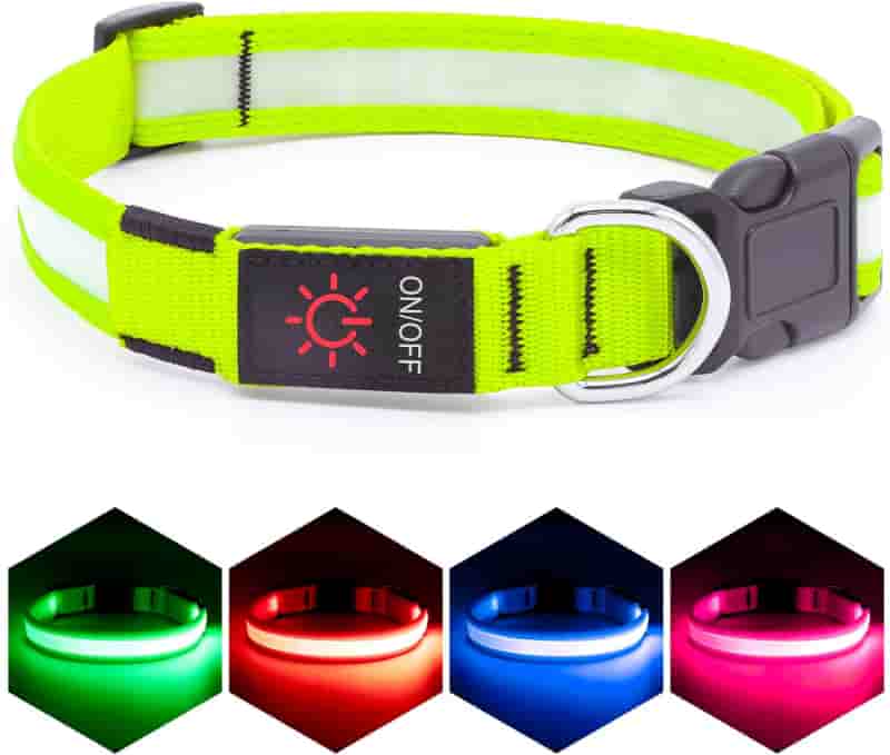 LED Dog Collar, Adjustable USB Rechargeable Safety Light (Medium, Green)