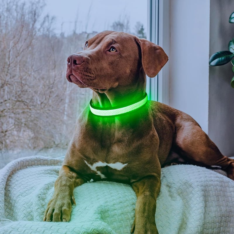 LED Dog Collar, USB Rechargeable, Neon Green, Large