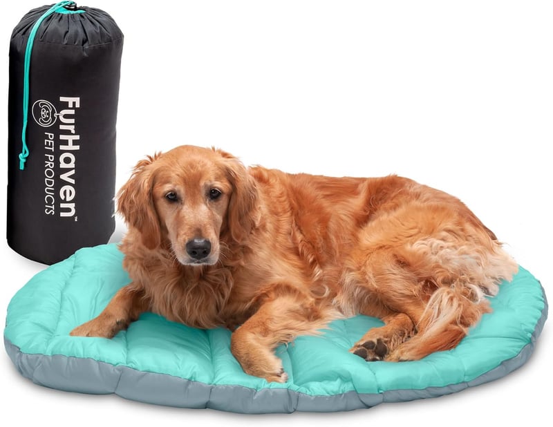 Travel Dog Bed for Large Dogs, Foldable & Washable, Aqua/Grey