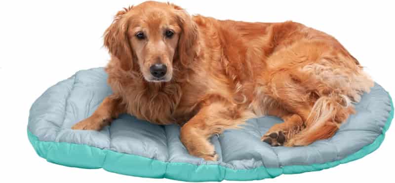 Outdoor Travel Dog Bed with Carry Bag - Washable & Foldable, Large