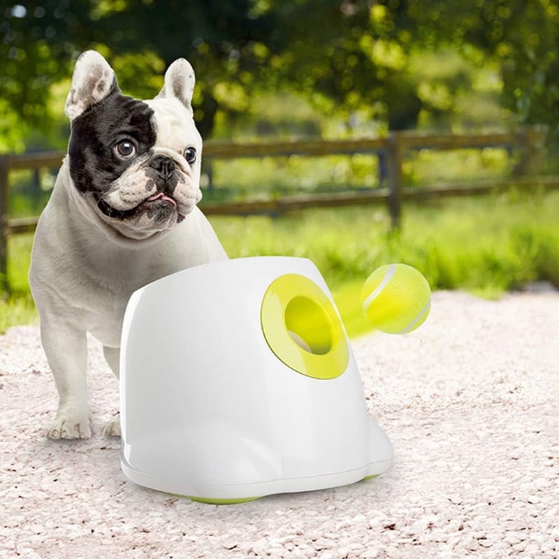 Automatic Dog Ball Launcher for Small & Medium Dogs