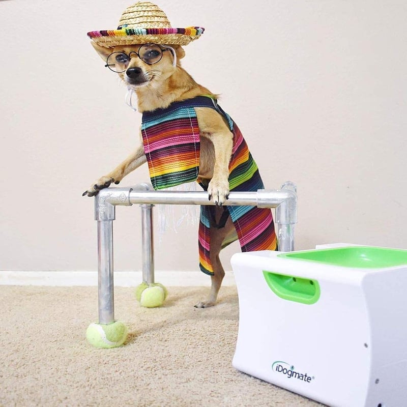Automatic Ball Launcher with 3 Balls for Small Dogs