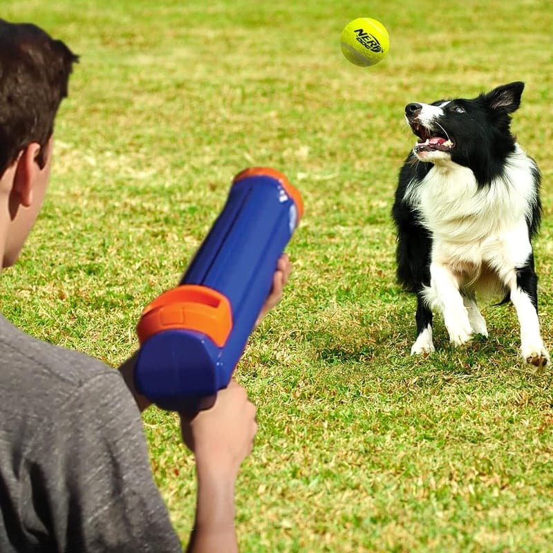 Dog Fetch Gift Set: 50ft Tennis Ball Blaster with 3 Balls
