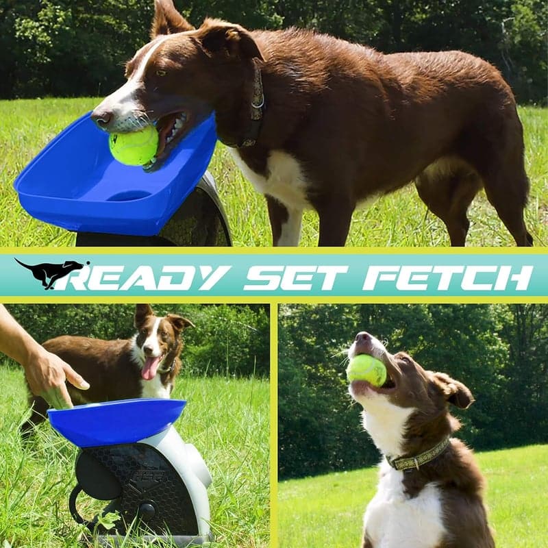 Automatic Tennis Ball Launcher for Dogs, 40-Foot Range