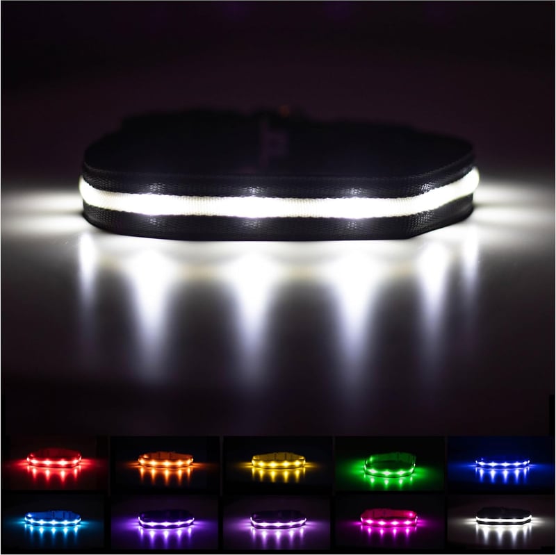 LED Dog Collar - USB Rechargeable Light-Up & Waterproof