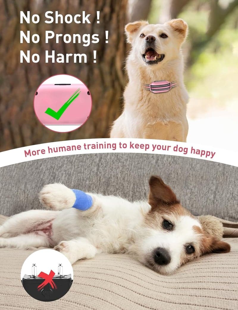 Dog Training Collar with Remote - Beep & Vibrate, No Prongs