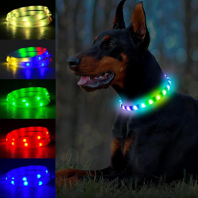 LED Dog Collar: USB Rechargeable, Adjustable, Multicolor