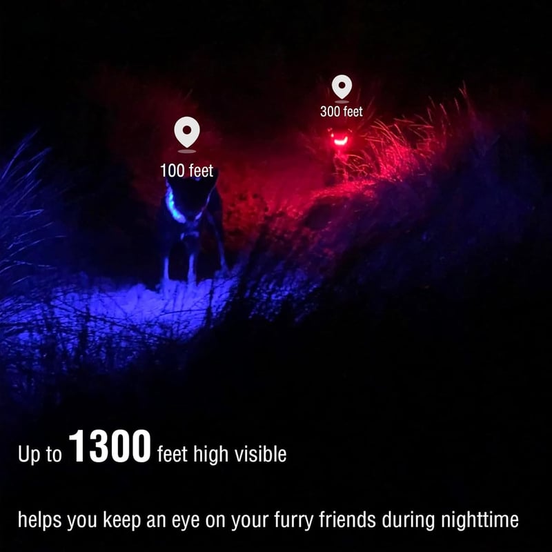 LED Dog Collar: USB Rechargeable, Adjustable, Multicolor