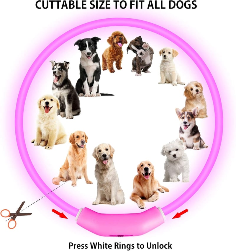 LED Dog Collar - Rechargeable Safety Lights for Dogs