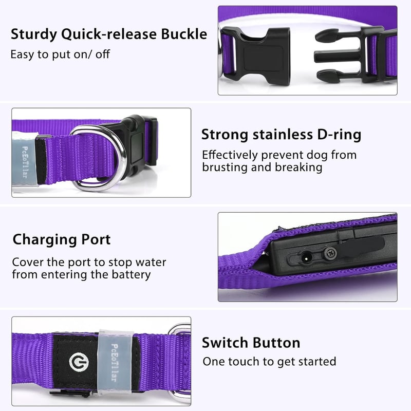 LED Rechargeable Glow Dog Collar for Night Walks
