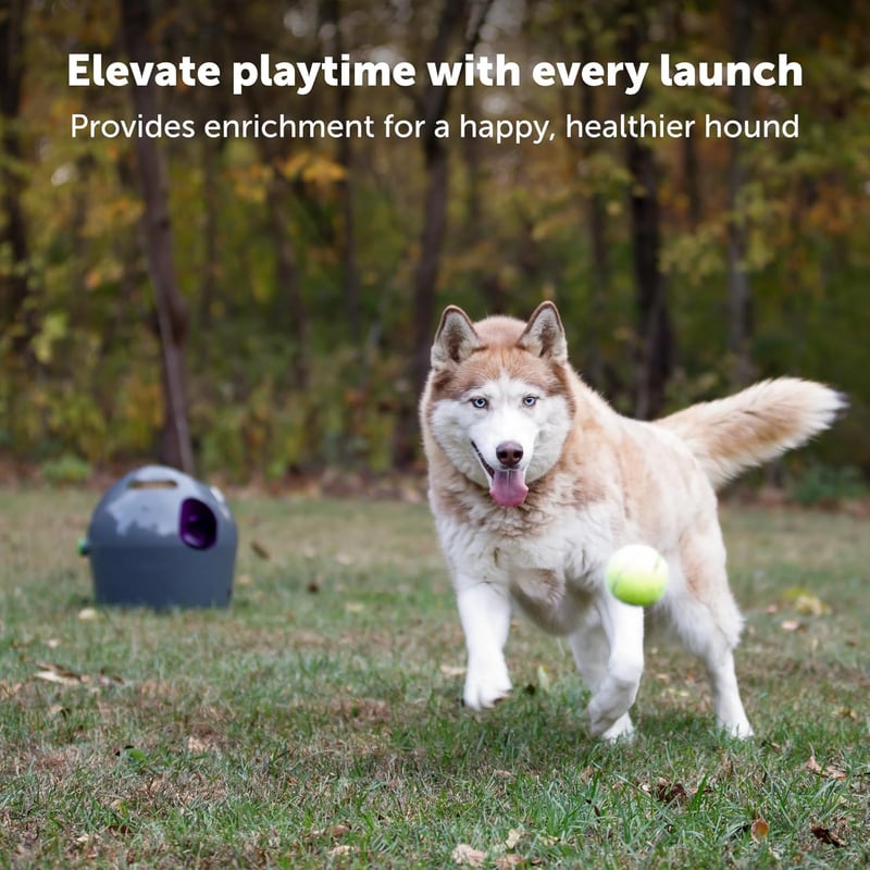 Automatic Dog Ball Launcher with Adjustable Distance for Indoor & Outdoor