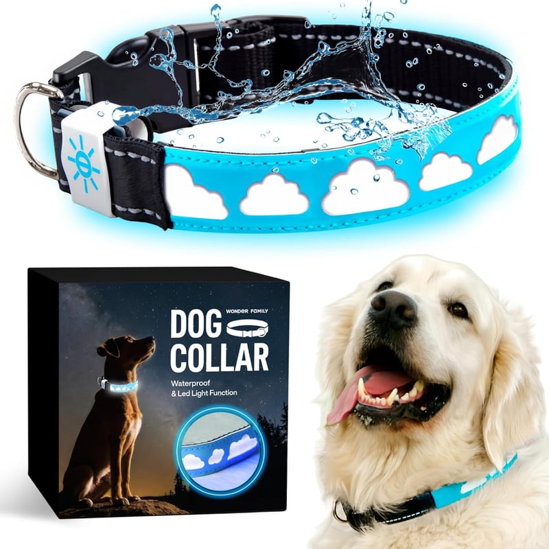 Rechargeable Blue LED Dog Collar - Waterproof Premium Leather