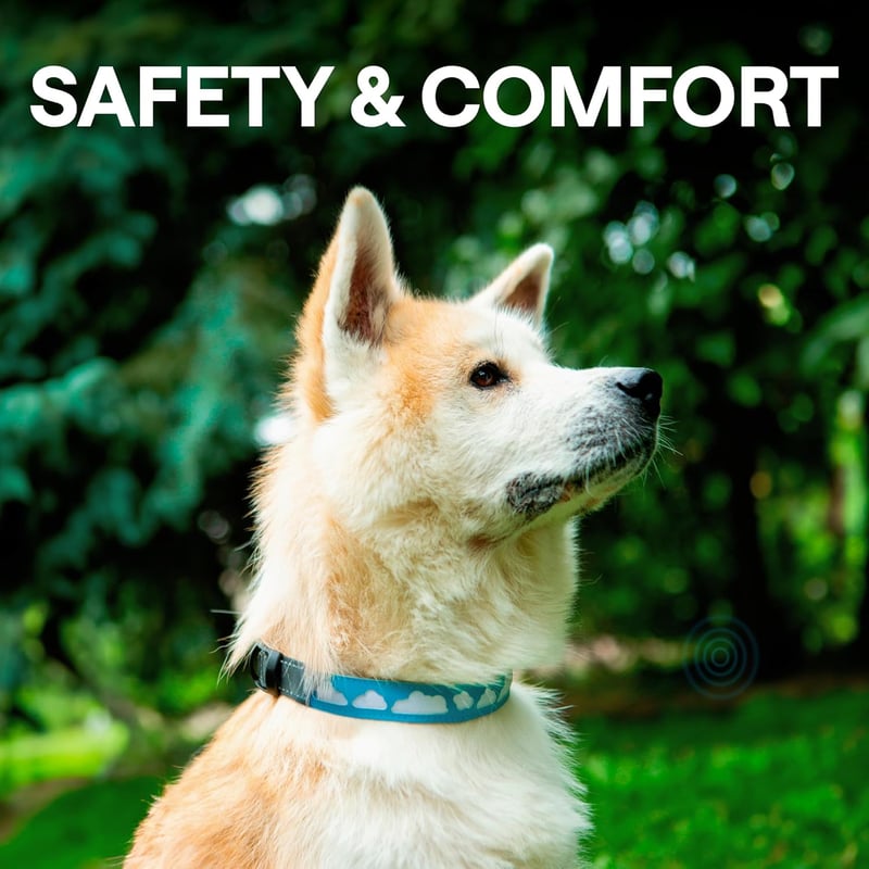 Rechargeable Blue LED Dog Collar - Waterproof Premium Leather