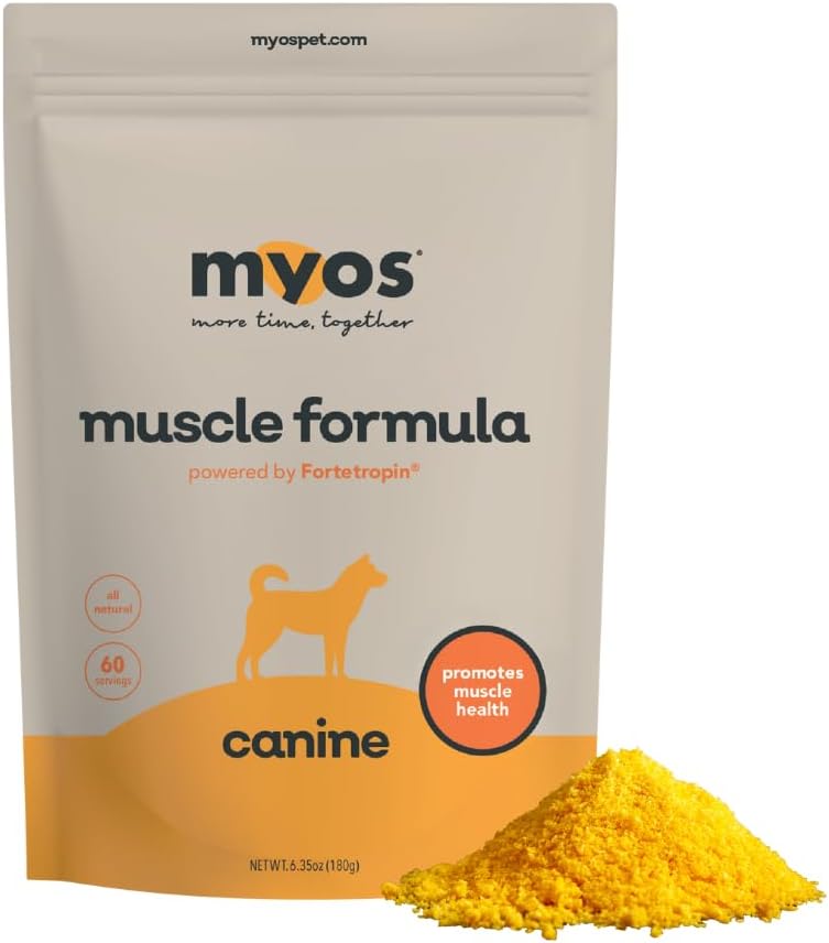 Canine Muscle Supplement for Recovery & Aging – All-Natural Formula