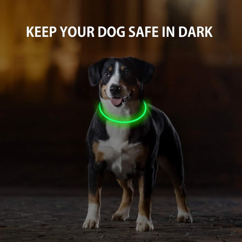 LED Dog Collar 2-Pack for Night Walking, Rechargeable, Green & Blue