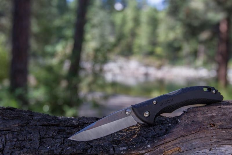Buck 285 Bantam Folding Knife with Clip