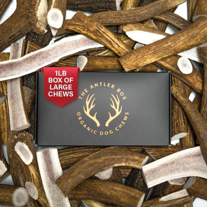 Elk Antler Dog Chews – Premium 1lb Box, Whole & Split Mix