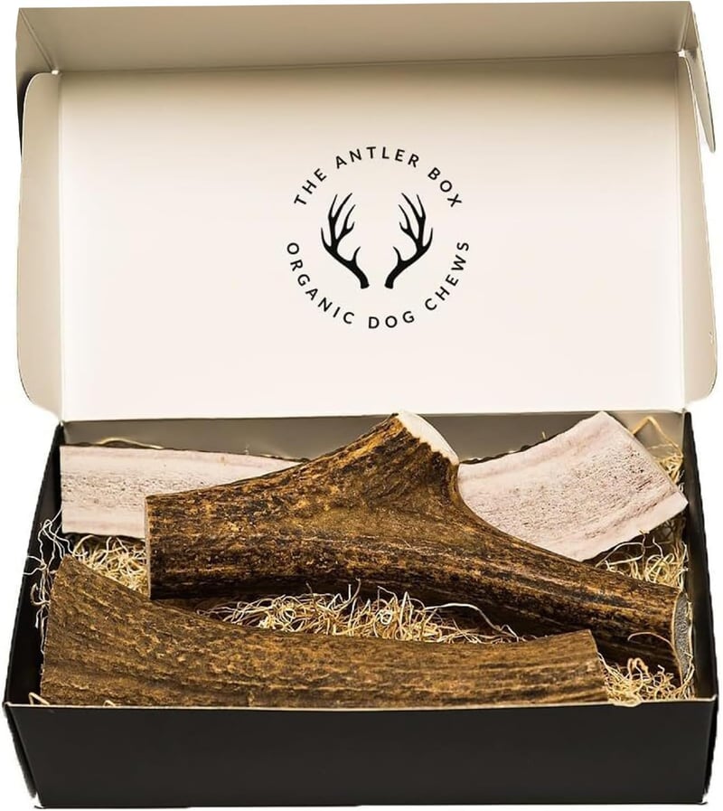 Elk Antler Dog Chews – Premium 1lb Box, Whole & Split Mix