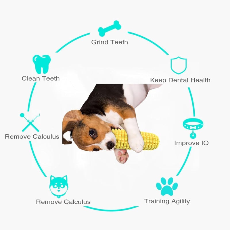 Interactive Tough Rubber Squeaky Dog Chew Toy for Aggressive Chewers