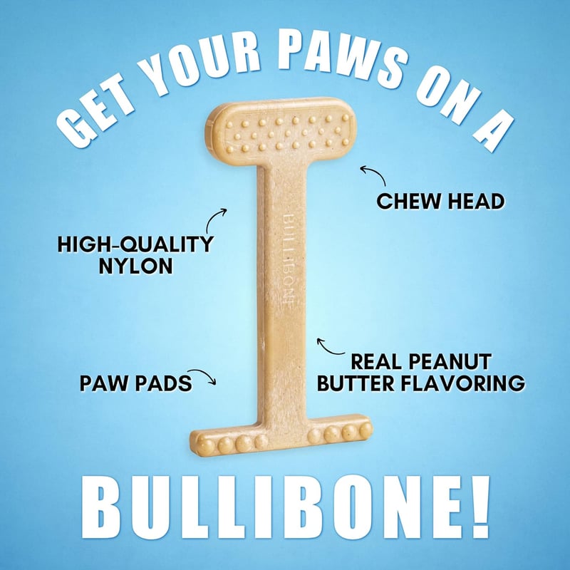 Peanut Butter Nylon Dog Chew Toy – Small, Dental Care Bone