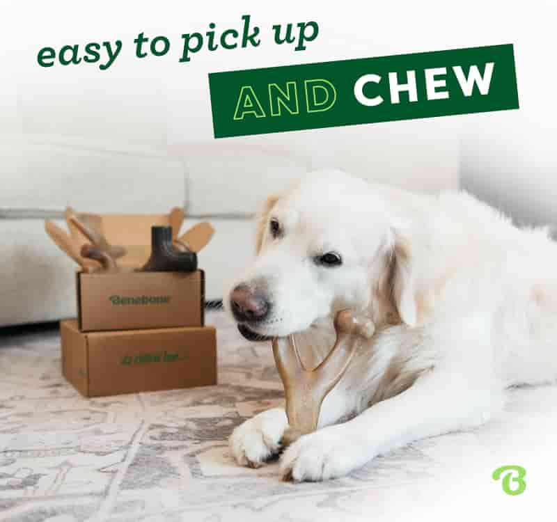 Small Dog Chew Toys 4-Pack for Aggressive Chewers, Made in USA