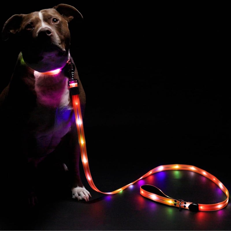 LED Dog Leash - 6ft Light-Up for Nighttime Safety