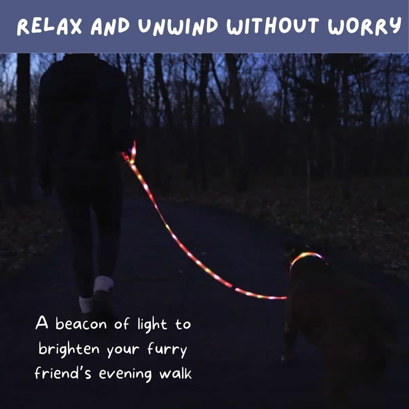 LED Dog Leash - 6ft Light-Up for Nighttime Safety