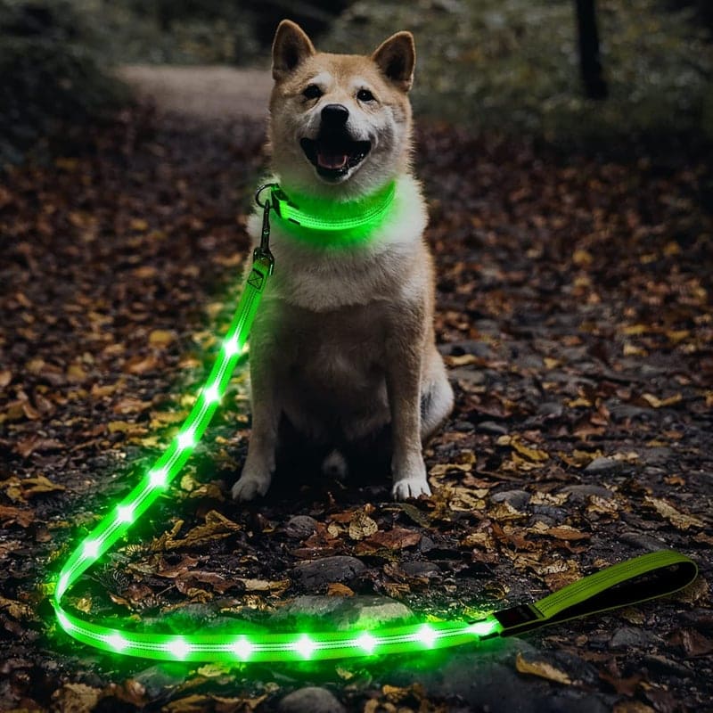 LED Dog Leash – USB Rechargeable, Glow-in-Dark Safety Nylon