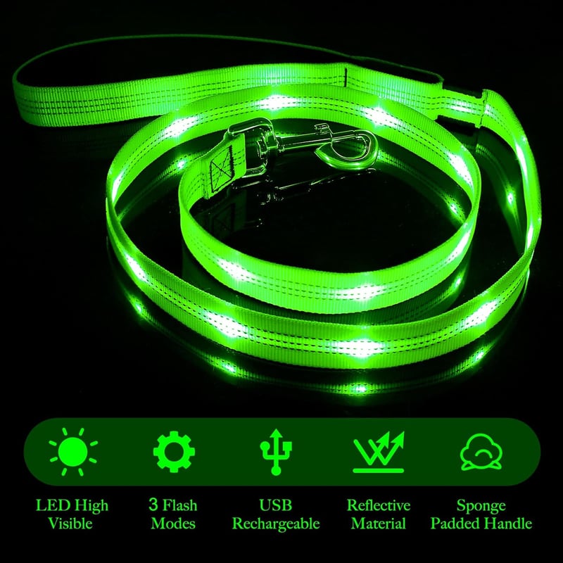 LED Dog Leash – USB Rechargeable, Glow-in-Dark Safety Nylon