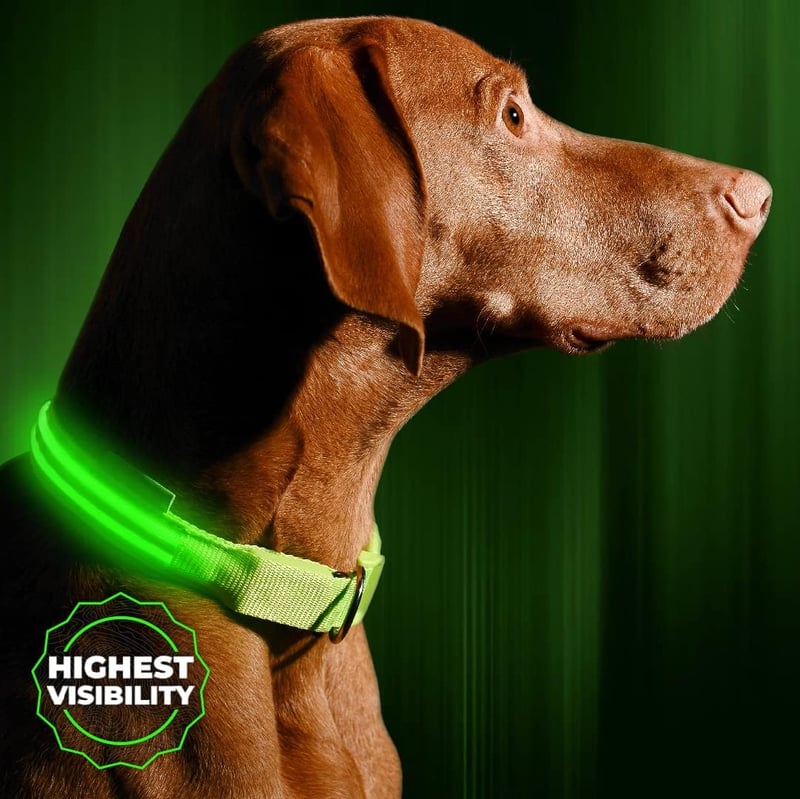 LED Dog Collar, USB Rechargeable, Weatherproof, Green (Small)