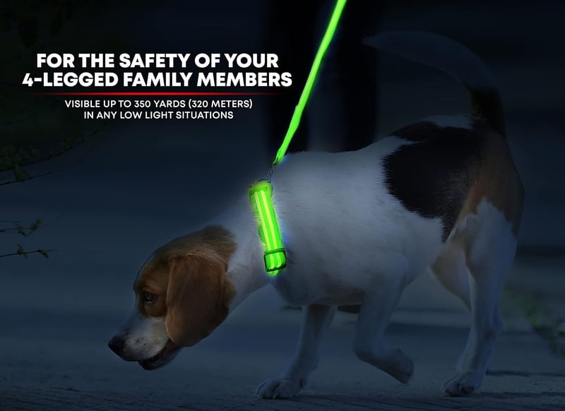 LED Dog Collar, USB Rechargeable, Weatherproof, Green (Small)