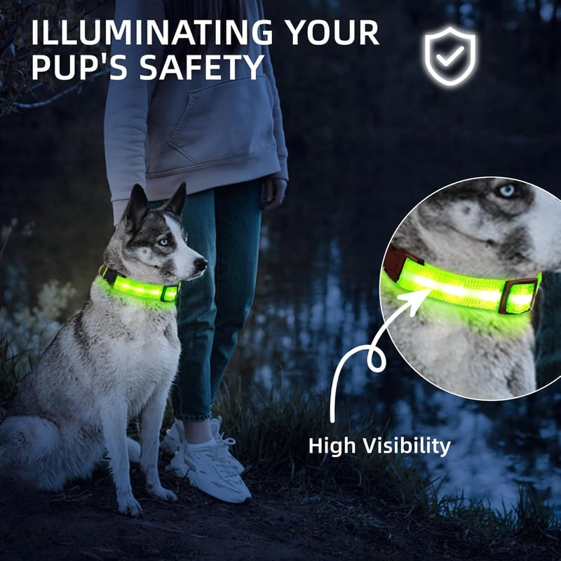 USB Rechargeable LED Dog Collar - Waterproof & Glow in Dark (Green, Medium)