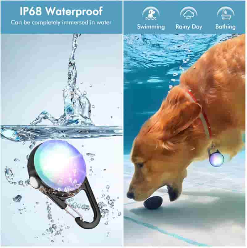Night Walking Dog Collar Light - Waterproof, USB Rechargeable (2 Pack)