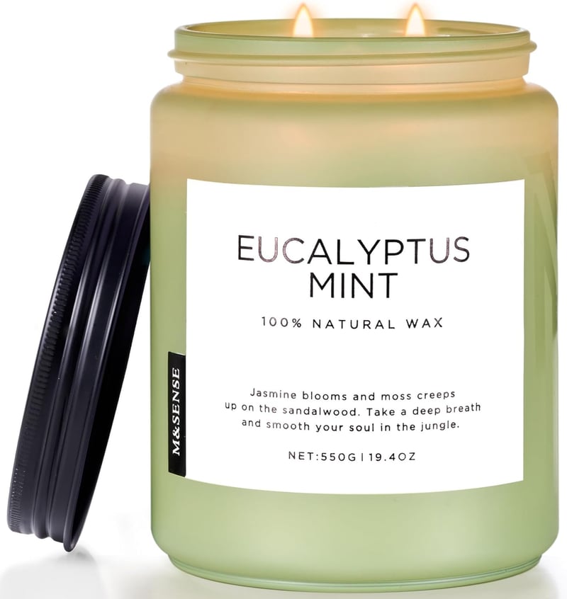 Eucalyptus Mint Aromatherapy Candle, 19.4oz, Stress Relief