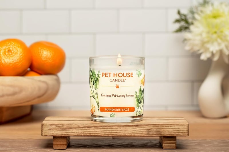 Pet House Candle - Mandarin Sage Soy Wax, Eliminates Pet Odors