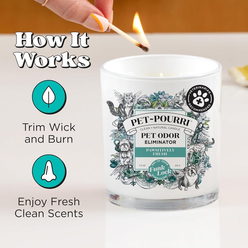 Pet Odor Candle with Pineapple, Jasmine & Pear – Pet-Safe Wax