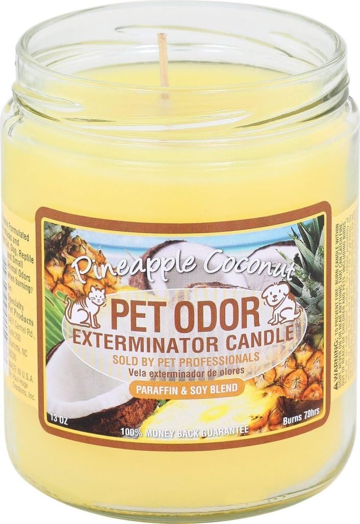Pet Odor Eliminator Candle, Pineapple Coconut Scent, 2-Pack