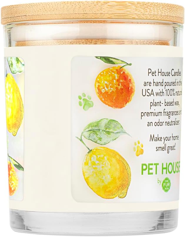 Pet House Candle – Fresh Citrus Soy Wax Odor Eliminator, 60-Hour Burn