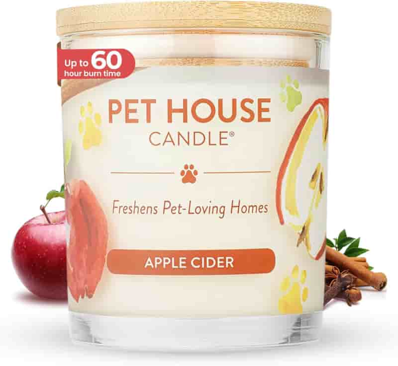 Apple Cider Pet Odor Soy Candle for Home