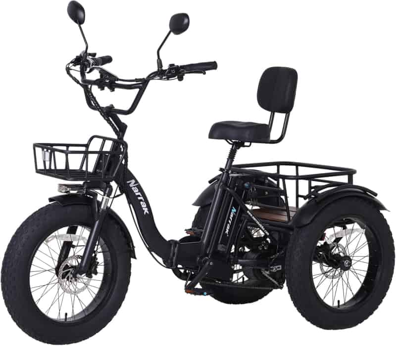 Adult Electric Tricycle, Folding 750W Fat Tire 3-Wheel Ebike
