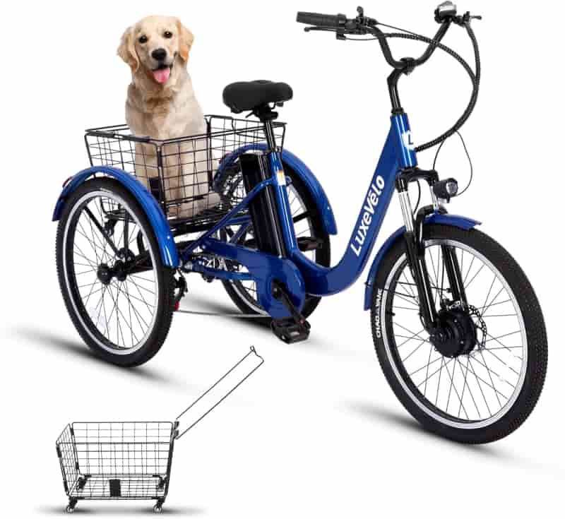 Adult Electric Tricycle, 7-Speed, 48V Battery, 70-Mile Range