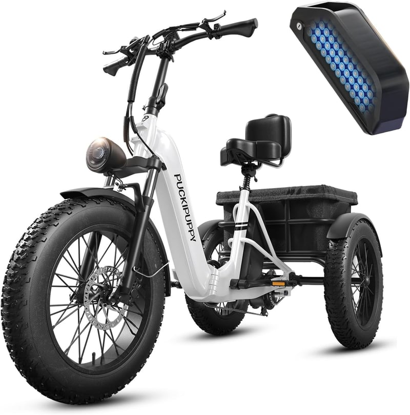 Adult Electric Trike with 60-Mile Range & 500 LB Load Capacity