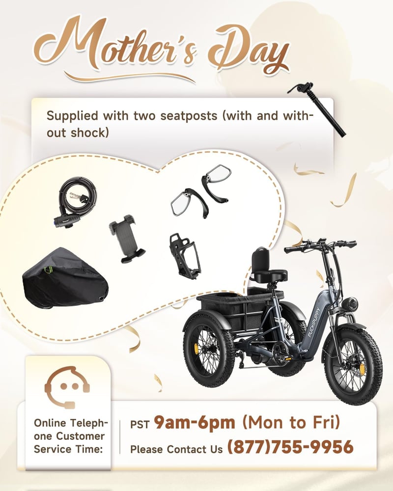 Adult Electric Trike with 60-Mile Range & 500 LB Load Capacity